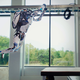 Imagen para el artículo titulado Los robots de Boston Dynamics presumen de agilidad en un circuito de parkour